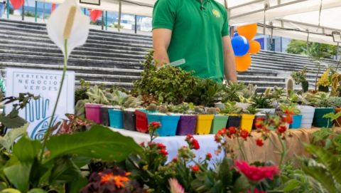 Atención: nuevos cierres y desvíos por avance de las obras en la Nueva Intersección Corales